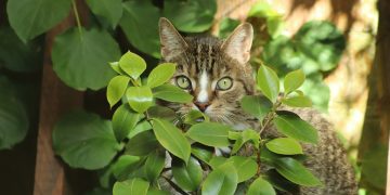 Unveiling Hidden Gems: Little-Known Facts That Will Amaze You