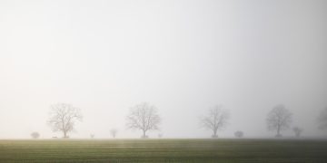 Uncovering the Uncommon: Exclusively Unique Discoveries Worth Knowing