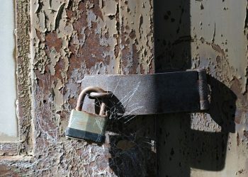 Unlocking the Power of Curiosity: How A Curiosity-Driven Approach Leads to Optimal Learning Success