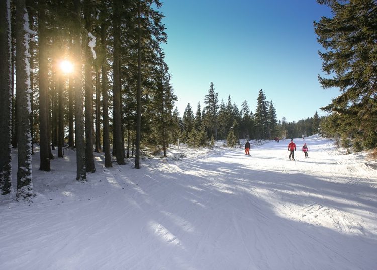 Uncovering Unbelievable Discoveries: Exploring the Astonishing Findings in Science and Beyond