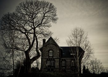 The Strange and Surprising: Uncovering Curious Oddities around the World