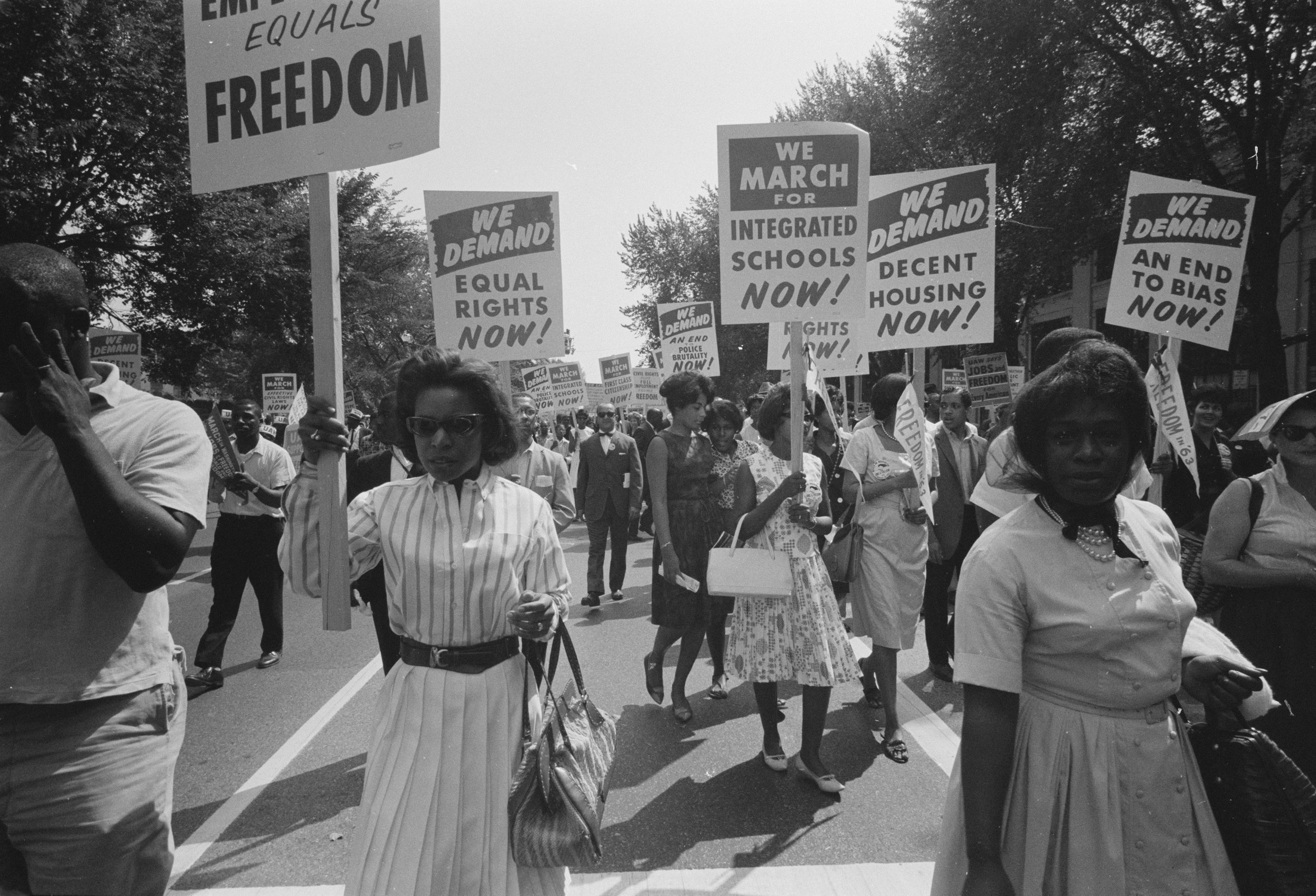 fascinating information about the civil rights movement