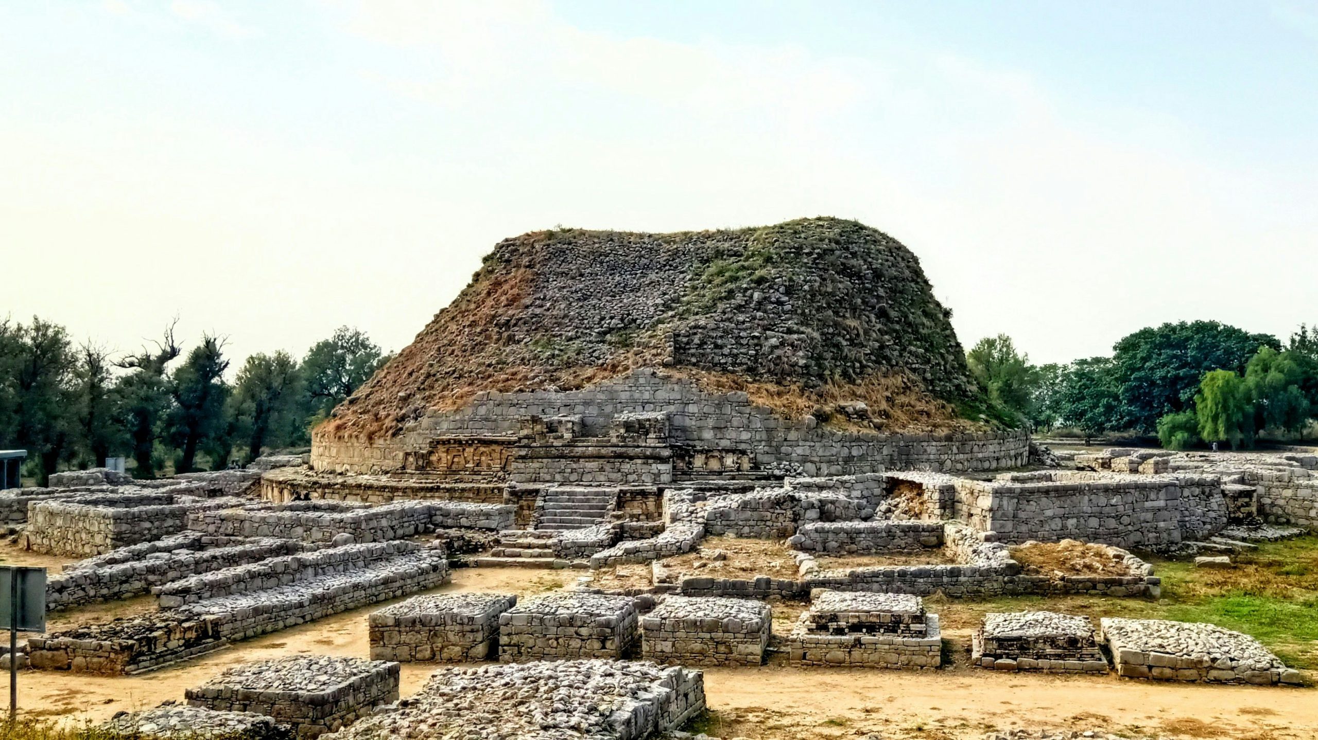 fascinating facts about the olmecs